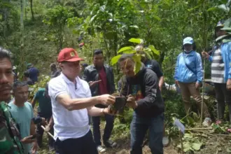 Peringati Hari World Water Day, ratusan warga tanam pohon di Wae Ajang Golo Dukal.